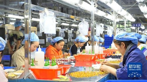 產業(yè)引領 繪就強村富民新畫卷——廣播電視節(jié)目制作經營的鄉(xiāng)村賦能之路